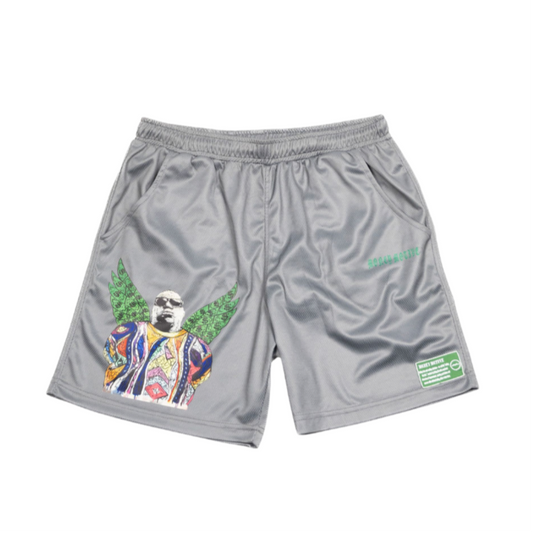 BIGGIE MESH SHORTS